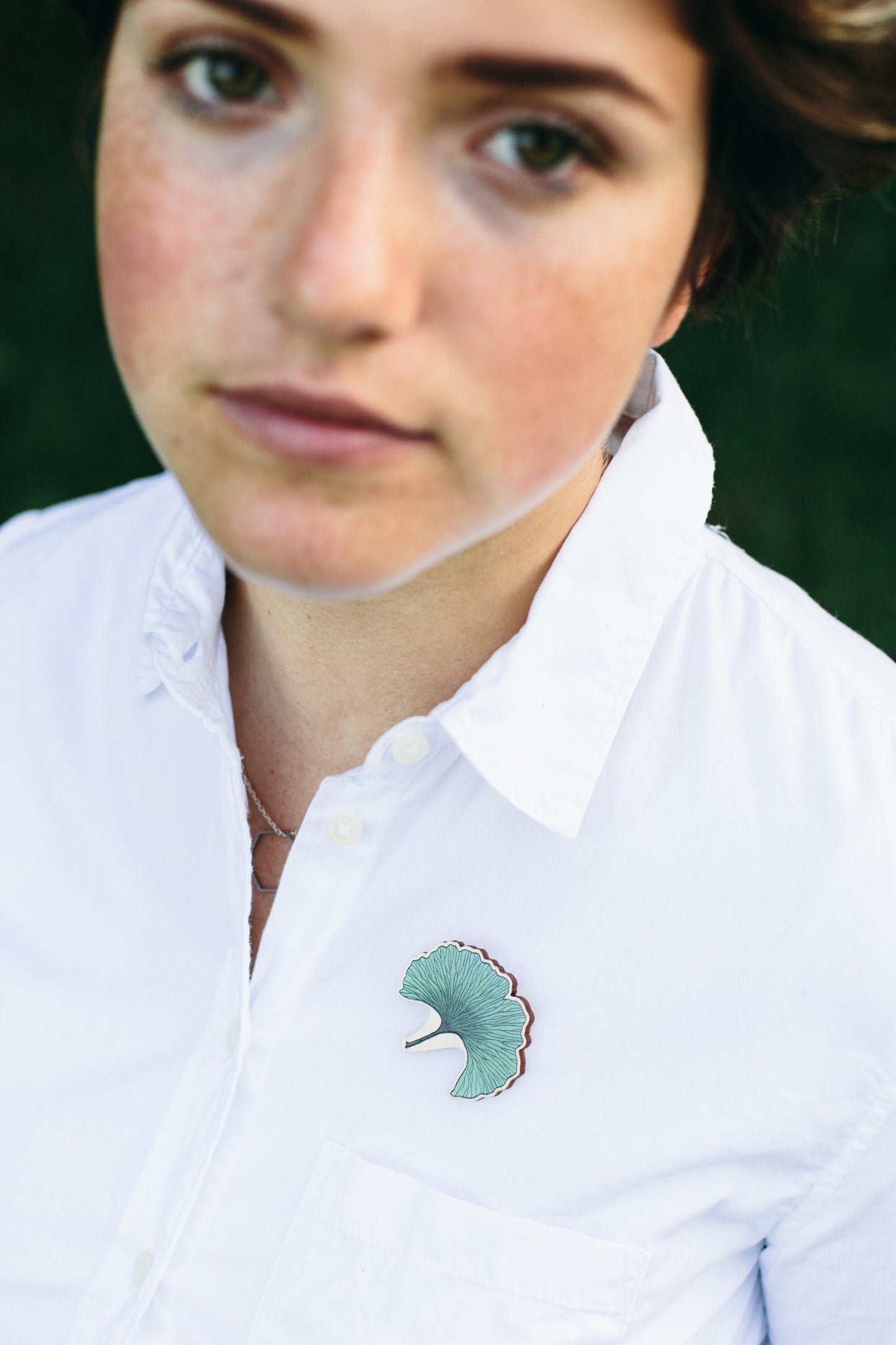 Wooden Plant Pins, Willow, Eucalyptus, Ginkgo or Monstera