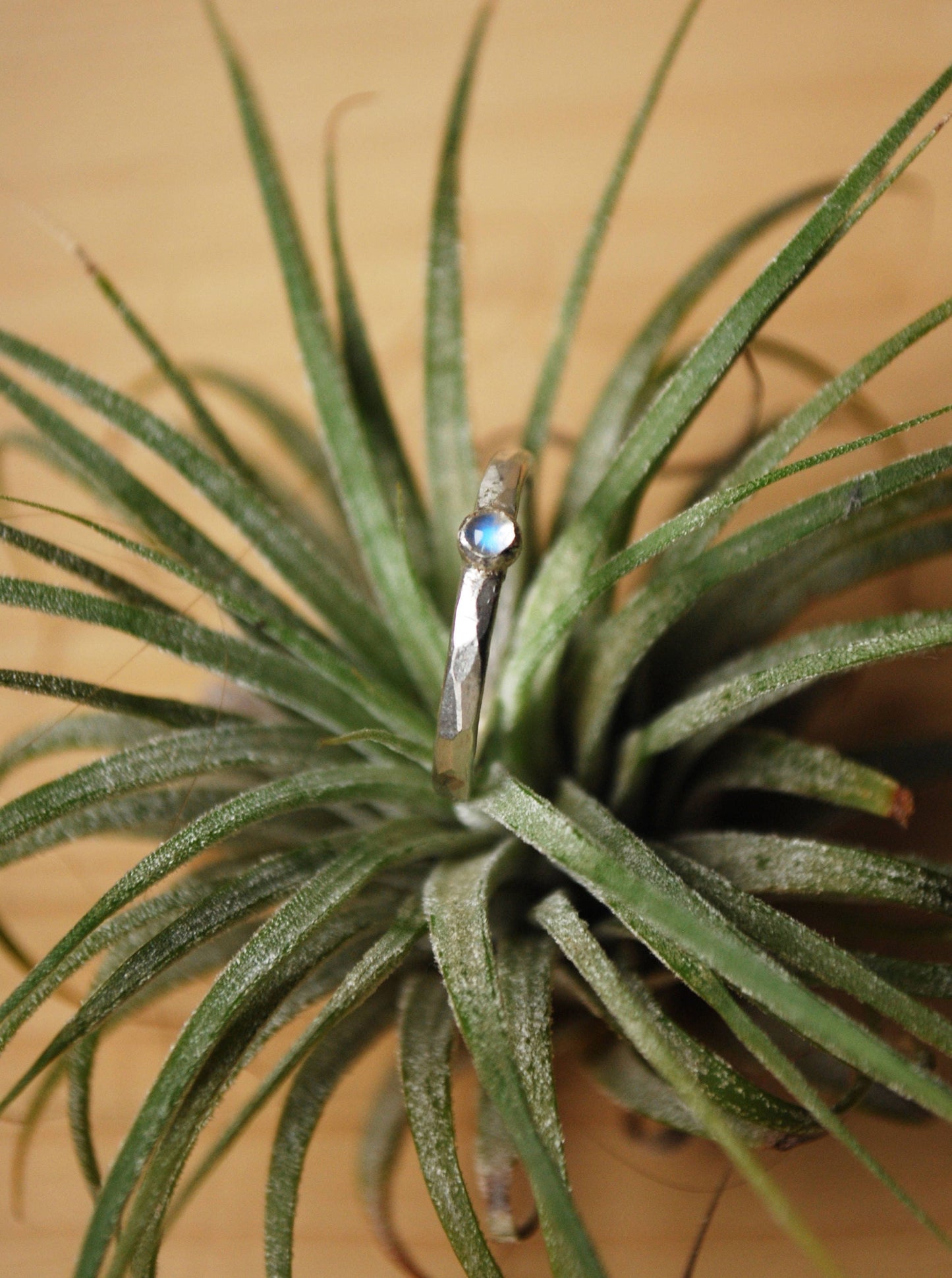Hammered stone ring