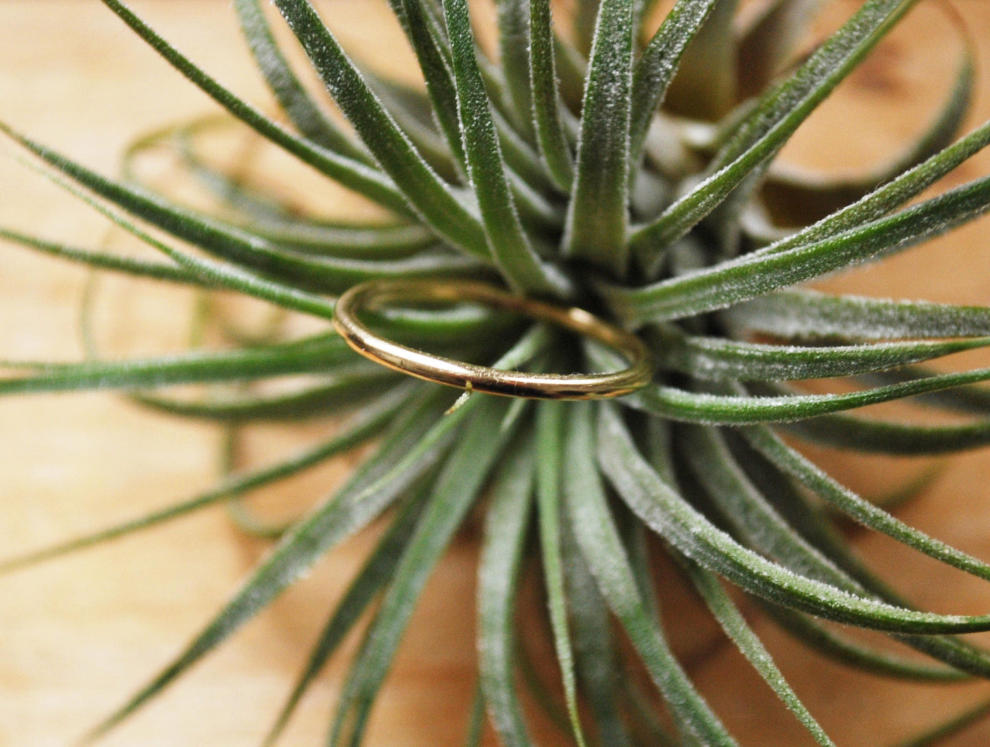 Simple wedding ring